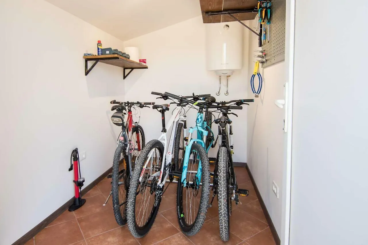 Alek Apartment Novigrad  Croatia